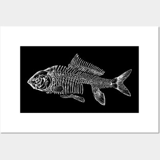 Fish Skeleton Posters and Art